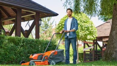 How Professional Lawn Care Improves Outdoor Spaces 