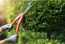 Essential Services That Make Your Property Safer, Stronger, and More Appealing