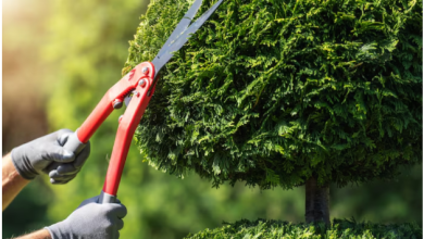 Essential Services That Make Your Property Safer, Stronger, and More Appealing