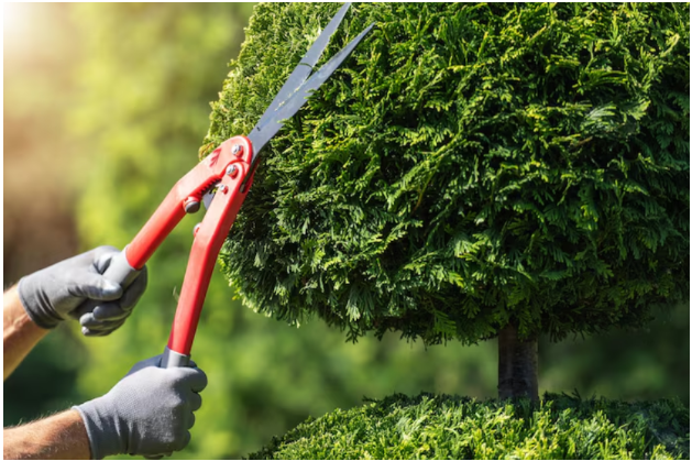 Essential Services That Make Your Property Safer, Stronger, and More Appealing